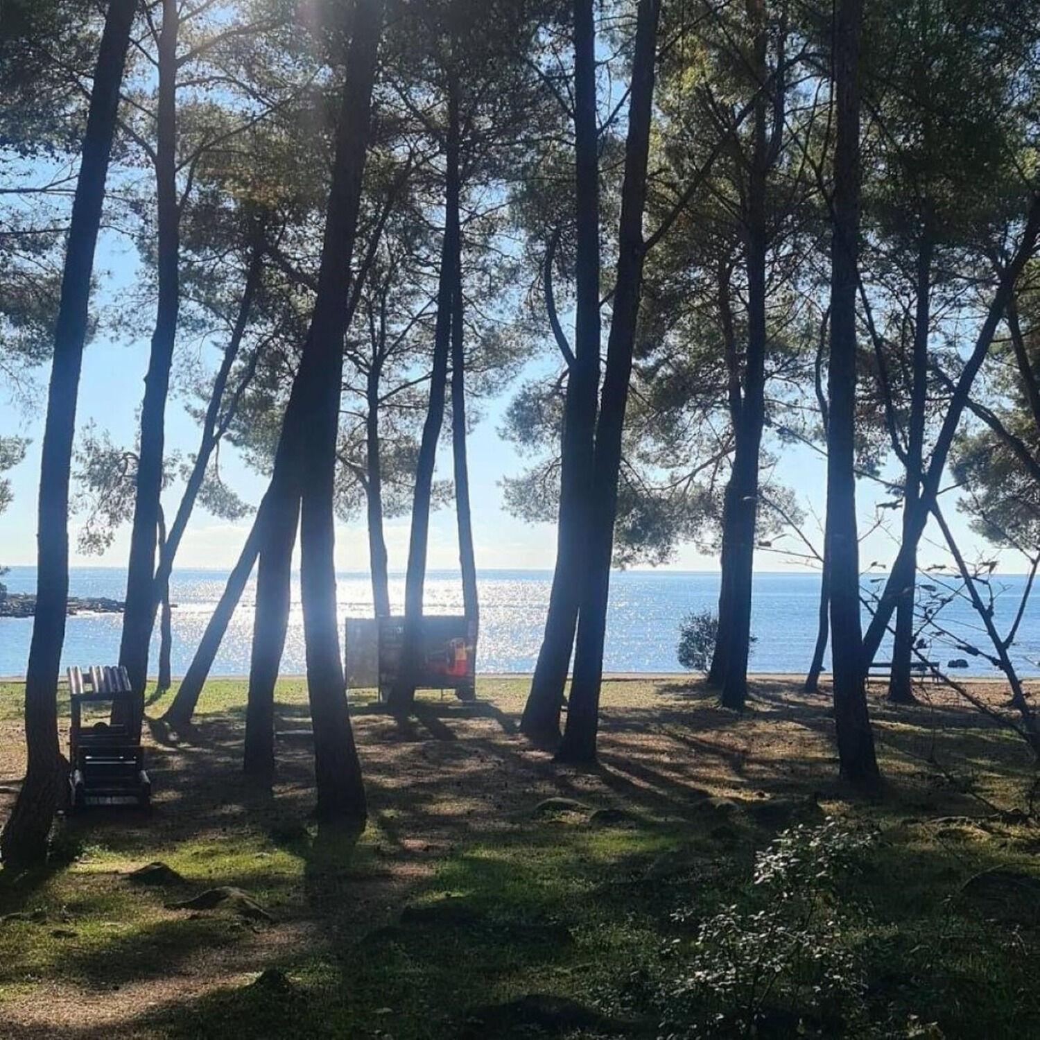 Apartments Berto - 500M To The Beach Rovinj Exteriör bild
